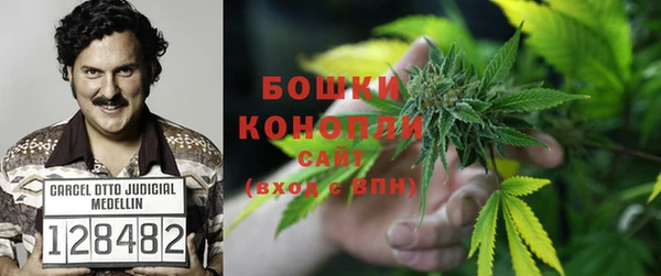 винт Аркадак
