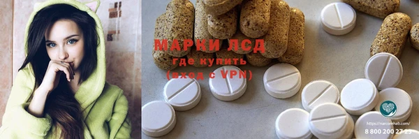 стафф Арсеньев