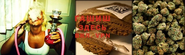 стафф Арсеньев