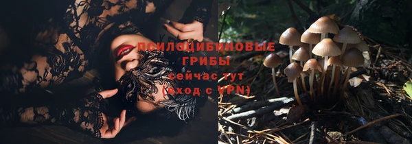 бошки Балахна