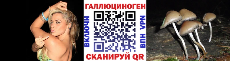купить наркоту  Каспийск  Галлюциногенные грибы Cubensis 